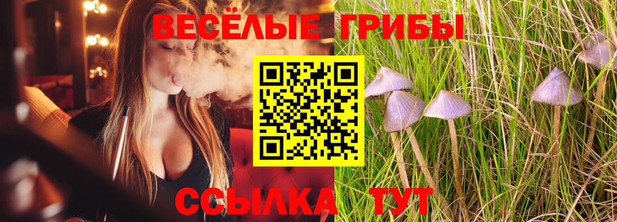 Псилоцибиновые грибы мухоморы Озёры