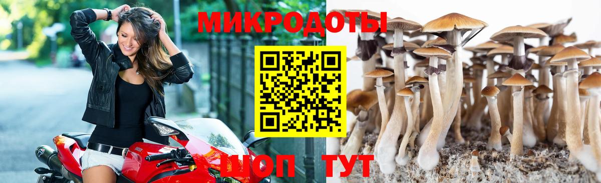Озёры  Псилоцибиновые грибы мухоморы  Галлюциногенные грибы MAGIC MUSHROOMS  Вход с VPN 